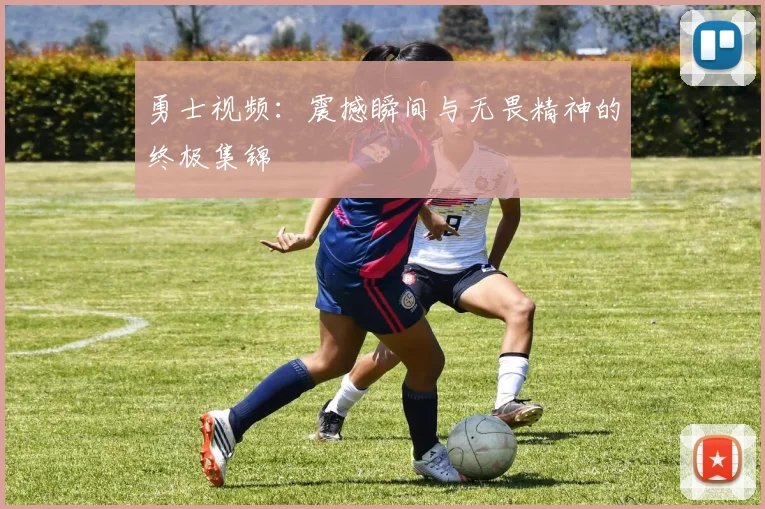勇士视频：震撼瞬间与无畏精神的终极集锦