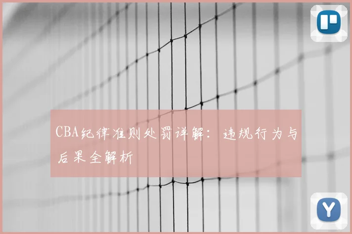 CBA纪律准则处罚详解:违规行为与后果全解析